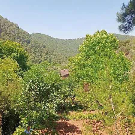 Izmir Yasam Vadisi