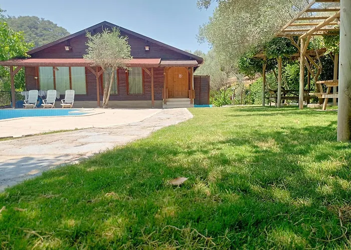 Izmir Yasam Vadisi *