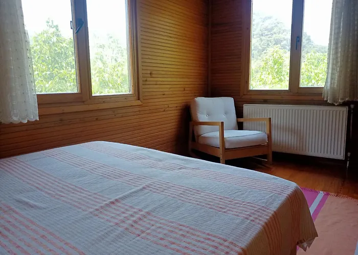 Izmir Yasam Vadisi *