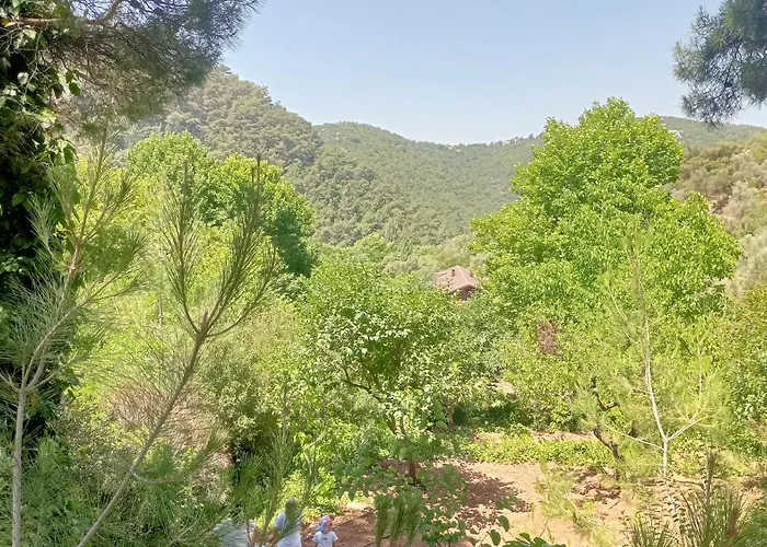 Отель Izmir Yasam Vadisi *