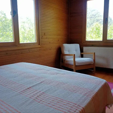 Izmir Yasam Vadisi *