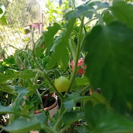 Izmir Yasam Vadisi Kavaklidere (Izmir)