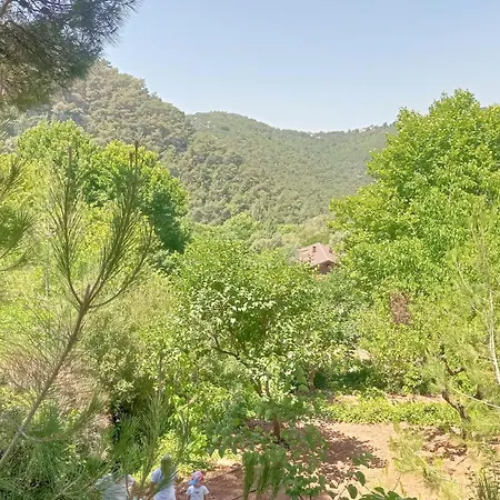 Hotel Izmir Yasam Vadisi *