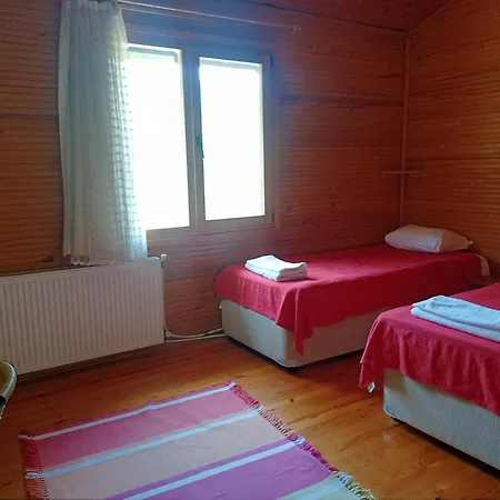 Izmir Yasam Vadisi *