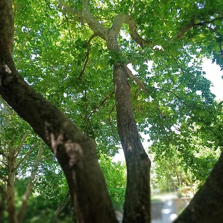 Izmir Yasam Vadisi * Kavaklidere (Izmir)