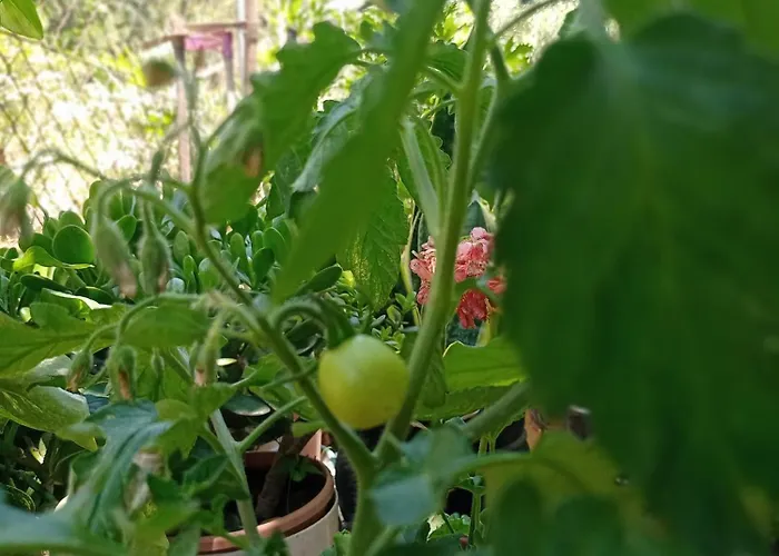 Izmir Yasam Vadisi Kavaklidere (Izmir)