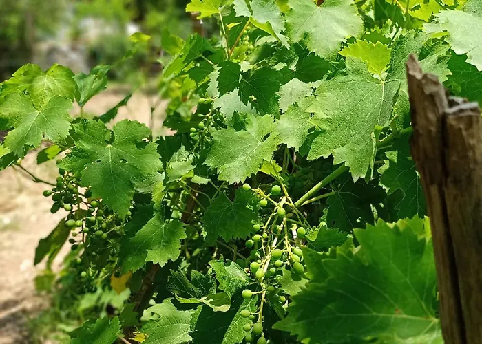 Izmir Yasam Vadisi Kavaklidere (Izmir)