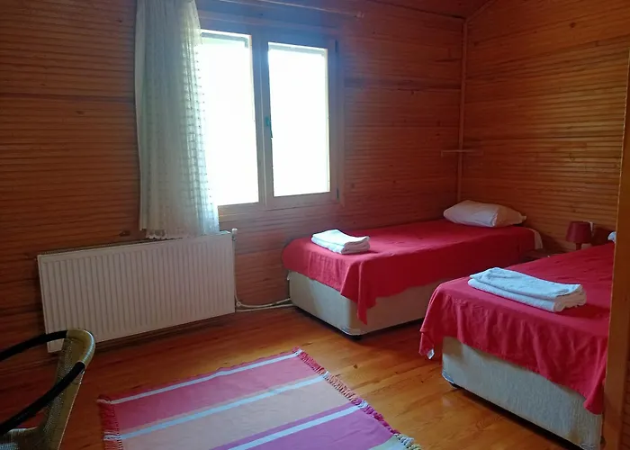 Izmir Yasam Vadisi *