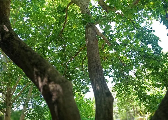 Izmir Yasam Vadisi * Kavaklidere (Izmir)